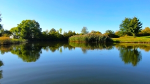 Golfclub St. Lorenz - Teich